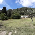 Garden House Q4527