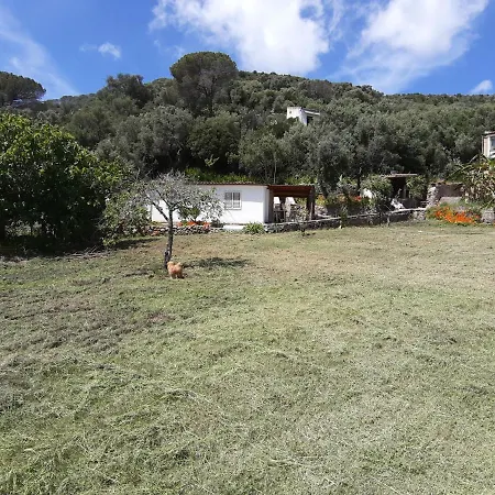 Garden House Q4527