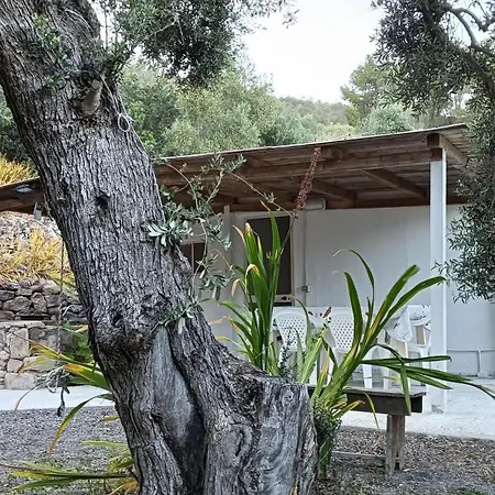 Garden House Q4527 Feriehus