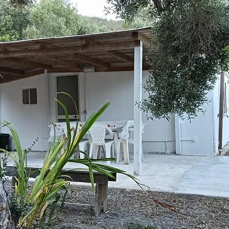 Garden House Q4527