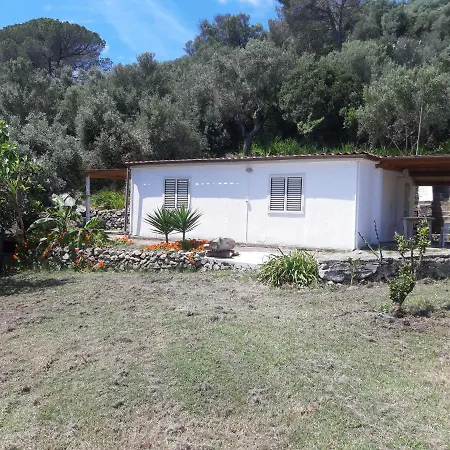 Vakantiehuis Garden House Q4527