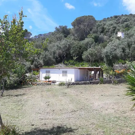 Vakantiehuis Garden House Q4527