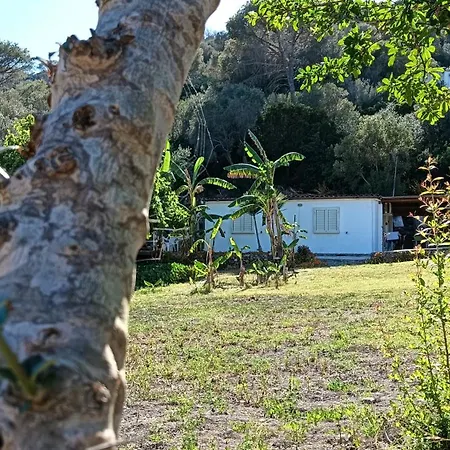 Dom wakacyjny Garden House Q4527 *