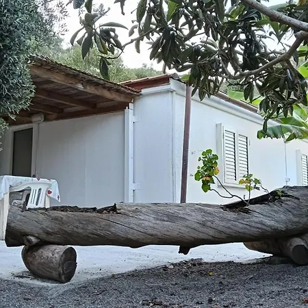 Garden House Q4527 *