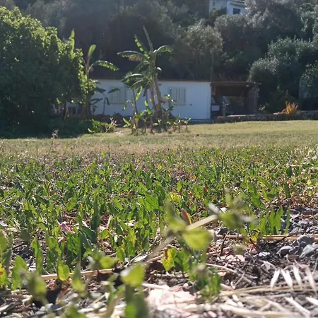 Garden House Q4527 * Carloforte (Isola di San Pietro)