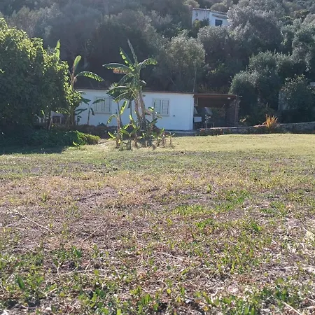 Garden House Q4527 Dom wakacyjny