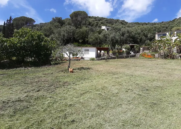 Garden House Q4527