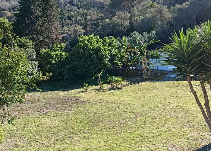 Garden House Q4527 Carloforte