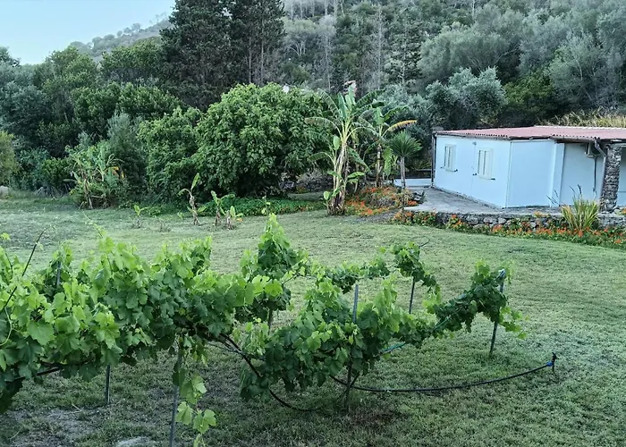 Garden House Q4527 * Carloforte