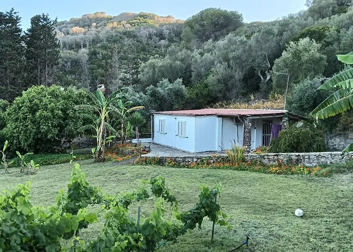 Garden House Q4527 Nyaraló *