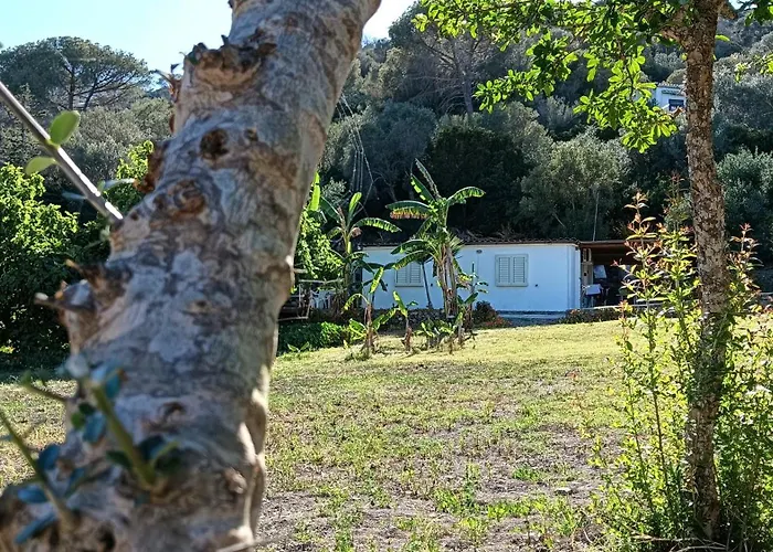 Ferienhaus Garden House Q4527 *