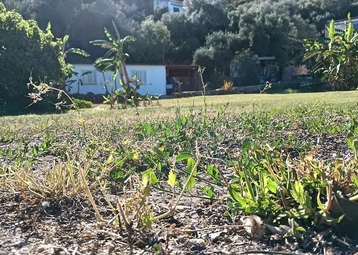 Garden House Q4527 Ferienhaus Carloforte (Isola di San Pietro)