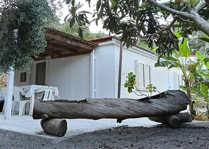 Garden House Q4527 *
